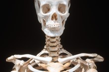 What Are the Benefits of Calcium Ascorbate?