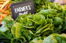 Is Lettuce Good for Losing Weight?