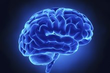 Gaba Supplements & Anxiety