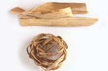 Slippery Elm for Babies