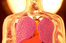 Are Ginger & Garlic Good for Those Who Have Kidney Problems and Are Undergoing Dialysis?