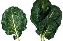 Benefits of Juicing Collard Greens
