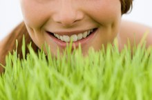 Wheatgrass for Anemia