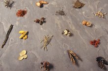 Can Certain Herbs Increase Dopamine?