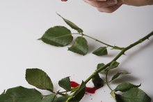 Can You Take Glucosamine & Aspirin?