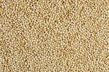 Can You Eat Raw Quinoa Grain?