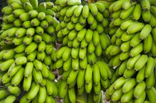 The Calories in Plantains