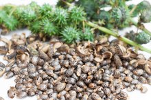 Castor Oil & Genital Warts