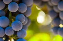 Potassium and Grapes