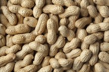 Eating Peanuts & Diverticulitis
