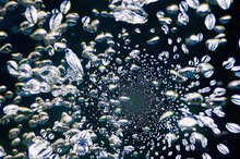 Sparkling Water Vs. Regular Water