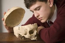 Adolescent Learning Styles