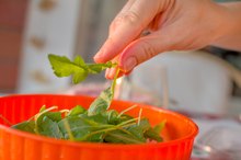 Vegetarian Diet Linked to Strong Hair & Nails