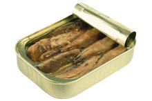 Can You Eat Sardines Before You Go to Sleep?