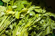 Parsley For Diabetes