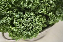 List of Foods That Affect Protime
