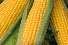 Low Amylose Diet Foods