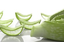 Aloe Vera & Kidney Disease