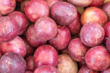 Can You Be Allergic to Passion Fruit?