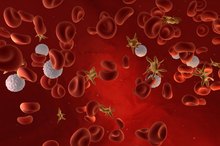 Foods to Decrease Platelet Aggregation