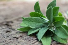 Sage & Weight Loss