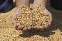 The Definition of Crude Fiber in Food