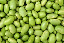 Is Soy Protein Isolate Gluten Free?
