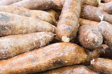 How to Juice a Yucca