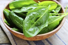 Choline Rich Vegetables