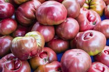 Nutrition Value of Heirloom Tomatoes