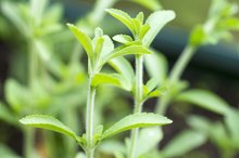 Nevella Sweetener Side Effects