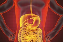The Best Ways to Flush the Urinary System