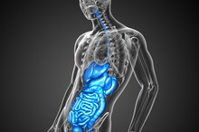 Natural Ways to Cleanse the Liver, Kidneys & Colon
