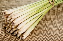 Lemon Grass Tea Herb & Gastritis