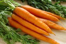 Can Certain Foods Help Fight HPV?