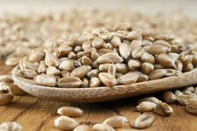 The Health Benefits of Wheat Germ for Men