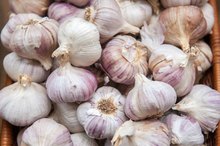 Can Foods Raise White T Cells?
