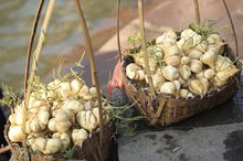 Nutrition Information on Jicama