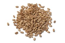 The Effect of High Fiber Diet on Absorption of Medication