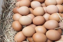 List of Foods With No Milk
