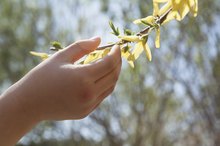 When to Treat Molluscum Contagiosa and Warts in Children