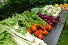 Does Eating Only Vegetables Every Day Make You Lose Weight?