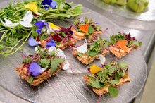Pros & Cons of Raw Food Diets
