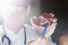 Can You Get Vitamin B12 Anemia If You Had Your Gallbladder Removed?