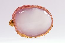 Lychee Allergies