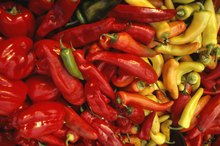 Cayenne Pepper & Burning Bowel Movements