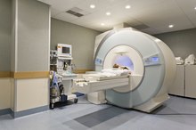 What Parts of the Brain Control the Parts of Your Body?
