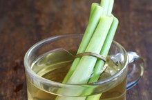 Can You Drink Too Much Lemongrass Tea?