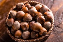 Hazelnut Allergy