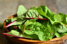 List of Dark Green Vegetables